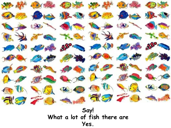 Say! What a lot of fish there are Yes.