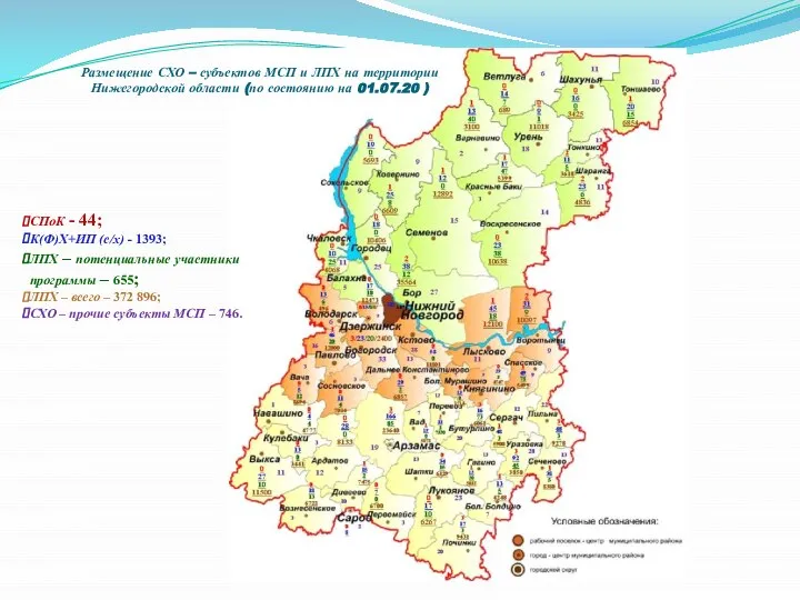 Размещение СХО – субъектов МСП и ЛПХ на территории Нижегородской области (по