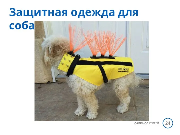 САВИНОВ СЕРГЕЙ Защитная одежда для собак