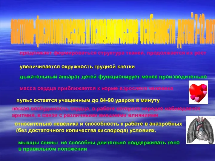 анатомо-физиологические и психологические особенности детей 7-12 лет продолжает формироваться структура тканей, продолжается