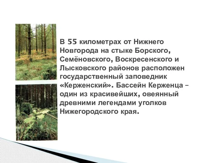 В 55 километрах от Нижнего Новгорода на стыке Борского, Семёновского, Воскресенского и