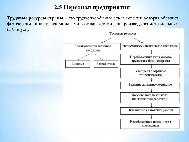 2.5 Персонал предприятия Трудовые ресурсы страны - это трудоспособная часть населения, которая