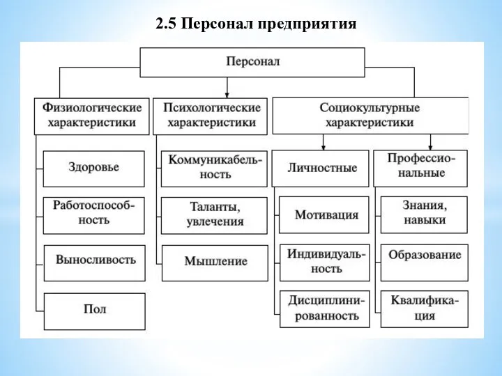 2.5 Персонал предприятия