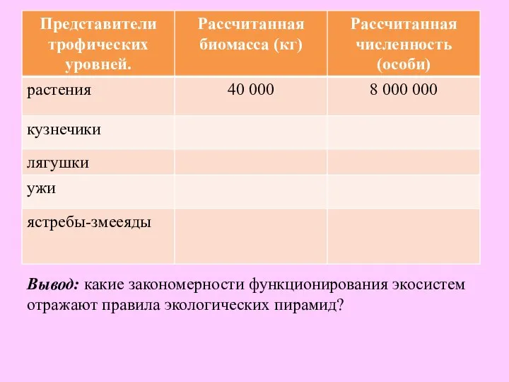 Вывод: какие закономерности функционирования экосистем отражают правила экологических пирамид?