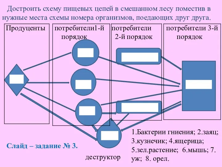 Достроить схему пищевых цепей в смешанном лесу поместив в нужные места схемы