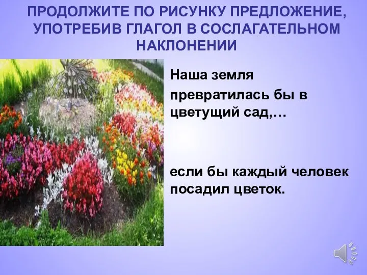 Наша земля превратилась бы в цветущий сад,… если бы каждый человек посадил