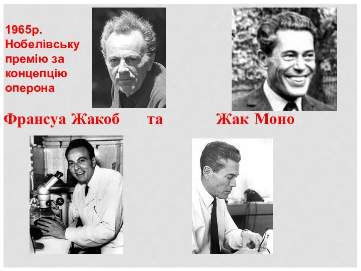 Франсуа Жакоб та Жак Моно 1965р. Нобелівську премію за концепцію оперона