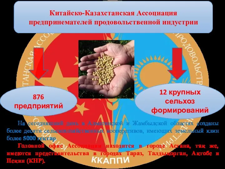 На сегодняшний день в Алматинской и Жамбылской областях созданы более десяти сельскохозяйственных
