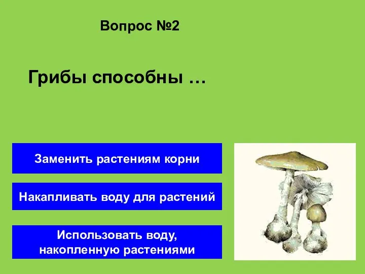 Вопрос №2 Накапливать воду для растений Использовать воду, накопленную растениями Заменить растениям корни Грибы способны …