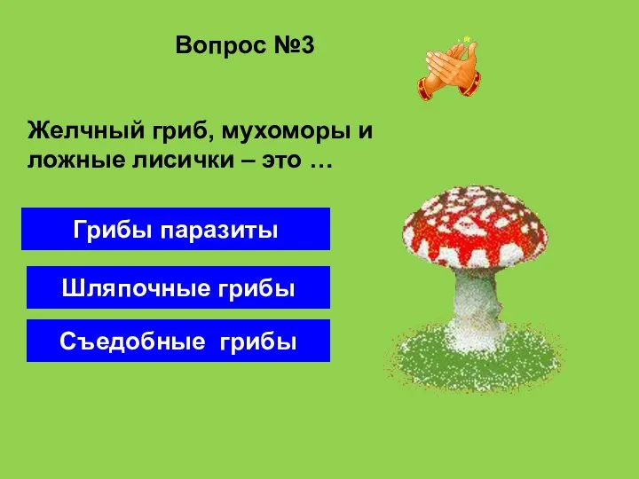 Вопрос №3 Шляпочные грибы Грибы паразиты Съедобные грибы Желчный гриб, мухоморы и