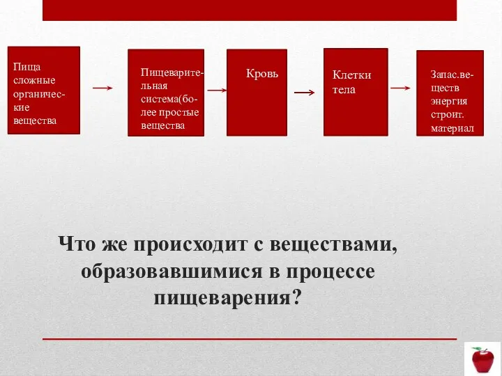 Что же происходит с веществами, образовавшимися в процессе пищеварения? Пища сложные органичес-кие