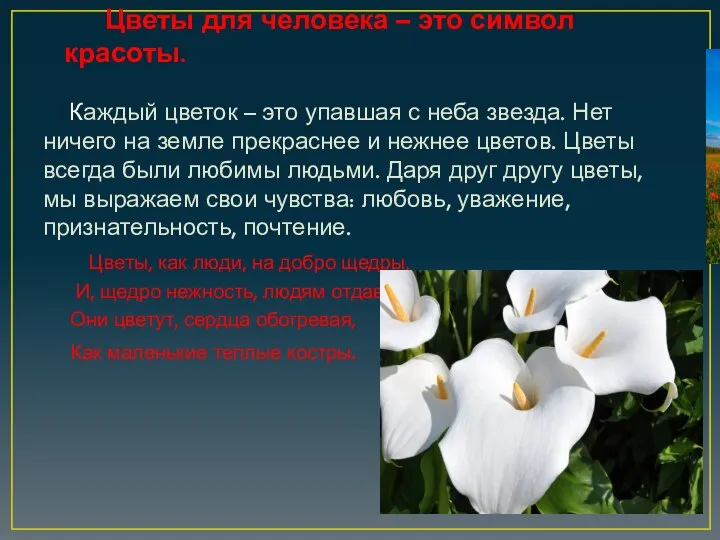 Цветы для человека – это символ красоты. Каждый цветок – это упавшая