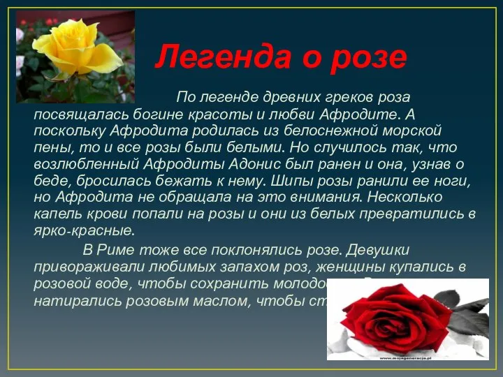 Легенда о розе По легенде древних греков роза посвящалась богине красоты и