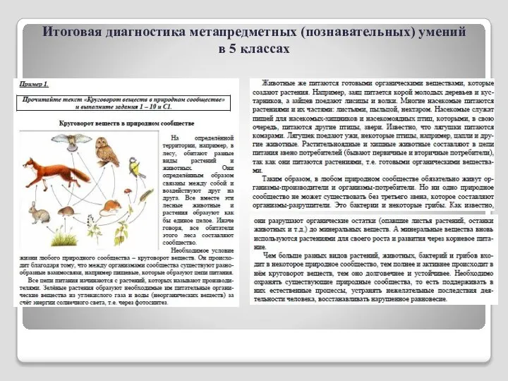 Итоговая диагностика метапредметных (познавательных) умений в 5 классах