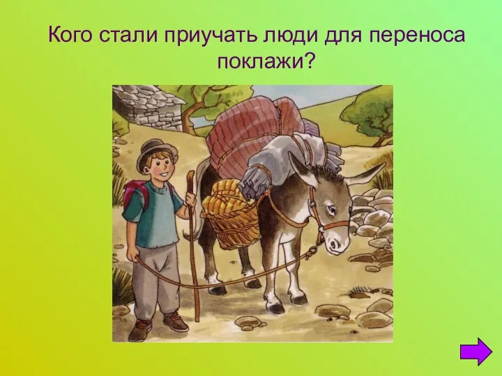 Кого стали приучать люди для переноса поклажи?