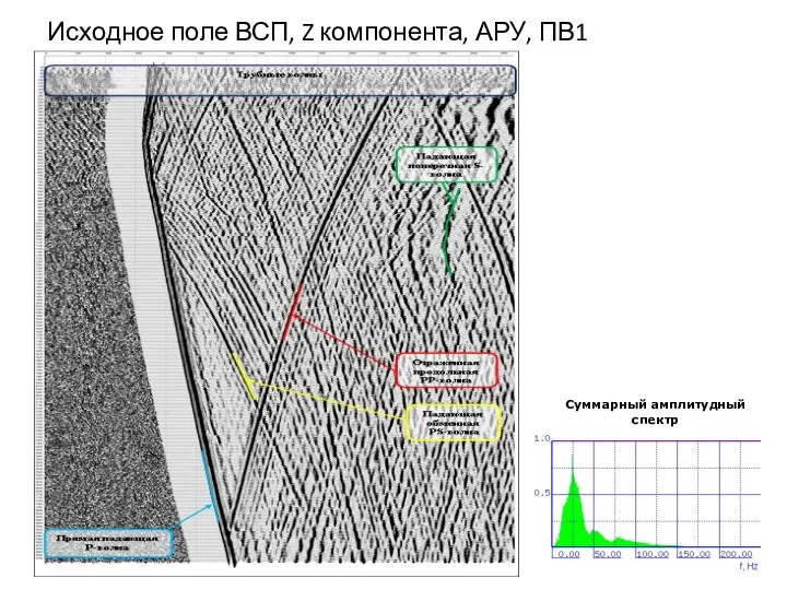 Исходное поле ВСП, Z компонента, АРУ, ПВ1 Суммарный амплитудный спектр