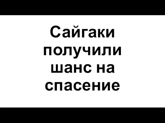 Сайгаки получили шанс на спасение