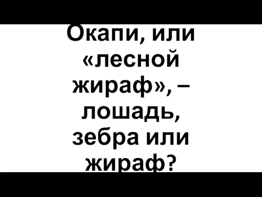 Окапи, или «лесной жираф», – лошадь, зебра или жираф?