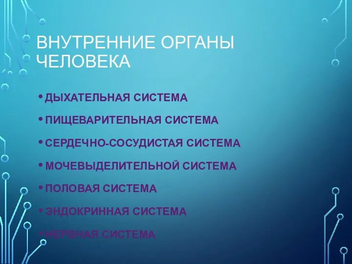 ВНУТРЕННИЕ ОРГАНЫ ЧЕЛОВЕКА ДЫХАТЕЛЬНАЯ СИСТЕМА ПИЩЕВАРИТЕЛЬНАЯ СИСТЕМА СЕРДЕЧНО-СОСУДИСТАЯ СИСТЕМА МОЧЕВЫДЕЛИТЕЛЬНОЙ СИСТЕМА ПОЛОВАЯ