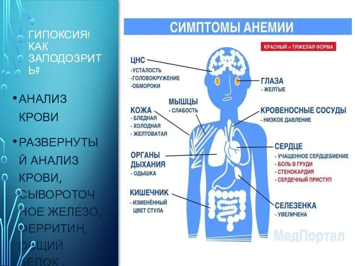 ГИПОКСИЯ! КАК ЗАПОДОЗРИТЬ? АНАЛИЗ КРОВИ РАЗВЕРНУТЫЙ АНАЛИЗ КРОВИ, СЫВОРОТОЧНОЕ ЖЕЛЕЗО, ФЕРРИТИН, ОБЩИЙ БЕЛОК , ВИТАМИН В12