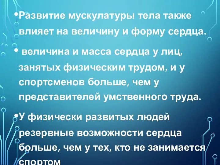 Развитие мускулатуры тела также влияет на величину и форму сердца. величина и