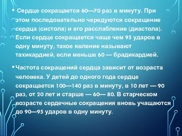 Сердце сокращается 60—70 раз в минуту. При этом последовательно чередуются сокращение сердца