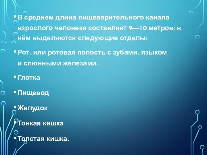 В среднем длина пищеварительного канала взрослого человека составляет 9—10 метров; в нём