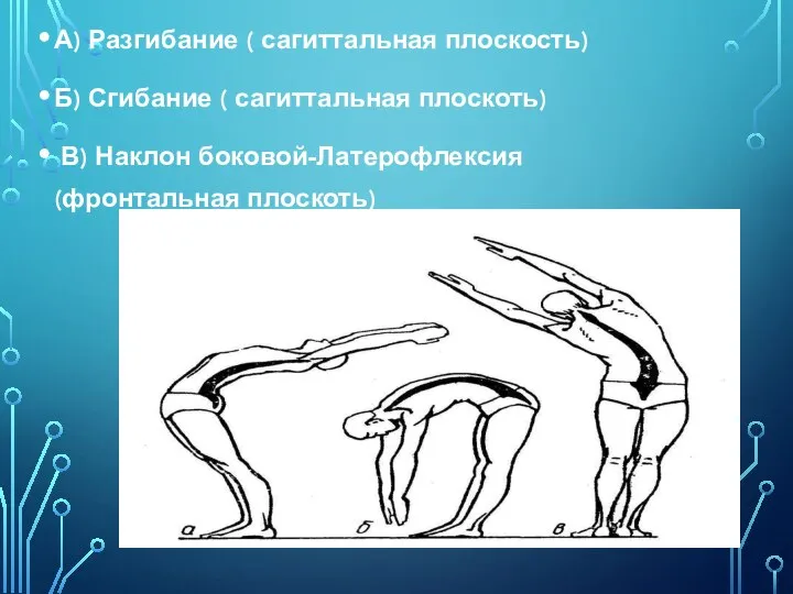 А) Разгибание ( сагиттальная плоскость) Б) Сгибание ( сагиттальная плоскоть) В) Наклон боковой-Латерофлексия (фронтальная плоскоть)