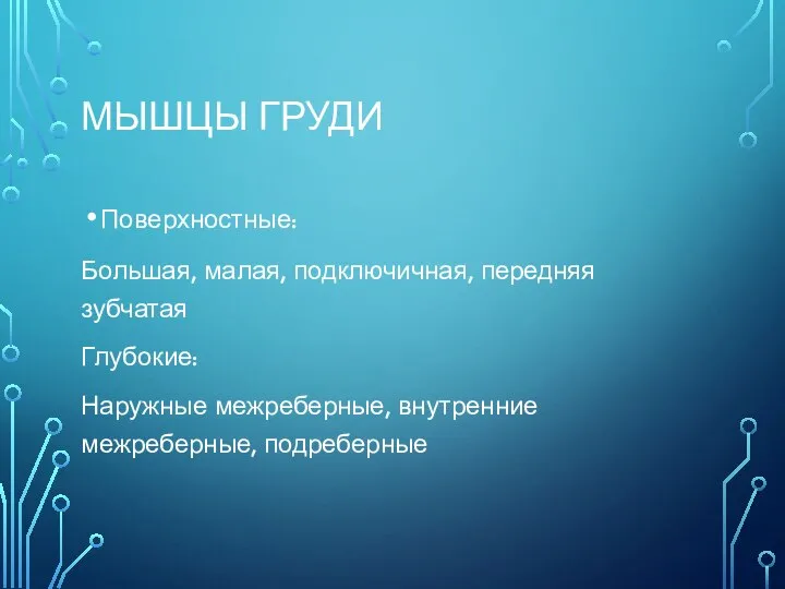 МЫШЦЫ ГРУДИ Поверхностные: Большая, малая, подключичная, передняя зубчатая Глубокие: Наружные межреберные, внутренние межреберные, подреберные