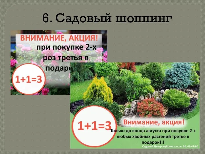 6. Садовый шоппинг