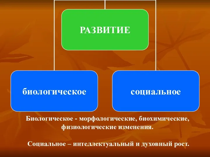 Биологическое - морфологические, биохимические, физиологические изменения. Социальное – интеллектуальный и духовный рост.