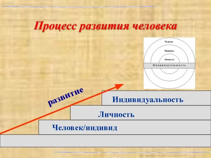 Процесс развития человека Человек/индивид развитие Личность Индивидуальность