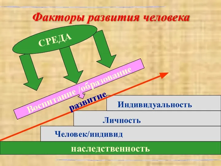 Факторы развития человека наследственность Человек/индивид развитие Личность Индивидуальность СРЕДА Воспитание /образование