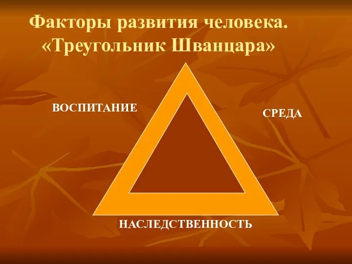 ВОСПИТАНИЕ СРЕДА НАСЛЕДСТВЕННОСТЬ Факторы развития человека. «Треугольник Шванцара»