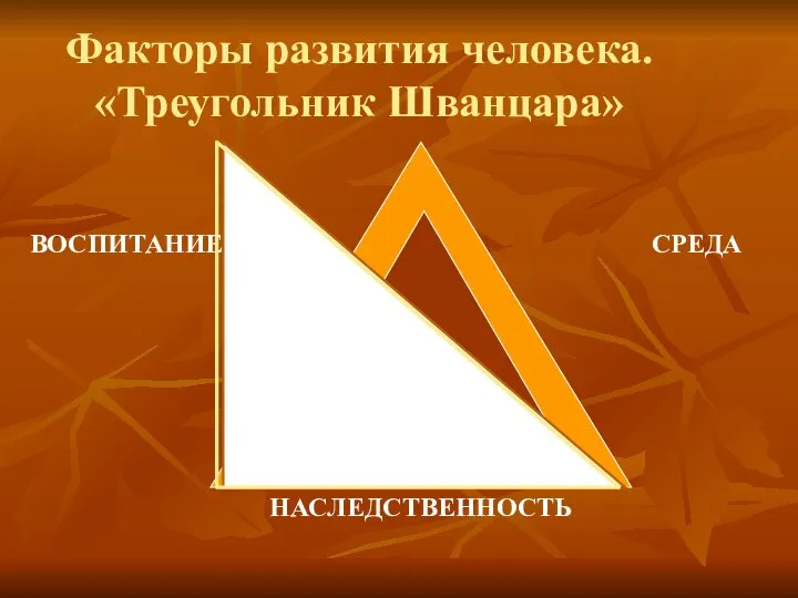 ВОСПИТАНИЕ СРЕДА НАСЛЕДСТВЕННОСТЬ Факторы развития человека. «Треугольник Шванцара»