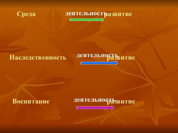 Среда развитие Наследственность развитие Воспитание развитие деятельность деятельность деятельность