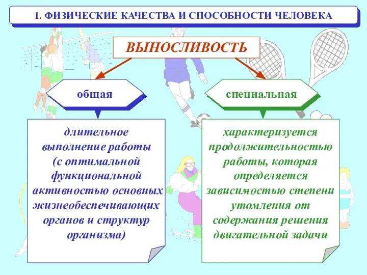 1. ФИЗИЧЕСКИЕ КАЧЕСТВА И СПОСОБНОСТИ ЧЕЛОВЕКА ВЫНОСЛИВОСТЬ общая специальная длительное выполнение работы