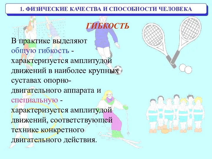 1. ФИЗИЧЕСКИЕ КАЧЕСТВА И СПОСОБНОСТИ ЧЕЛОВЕКА В практике выделяют общую гибкость -