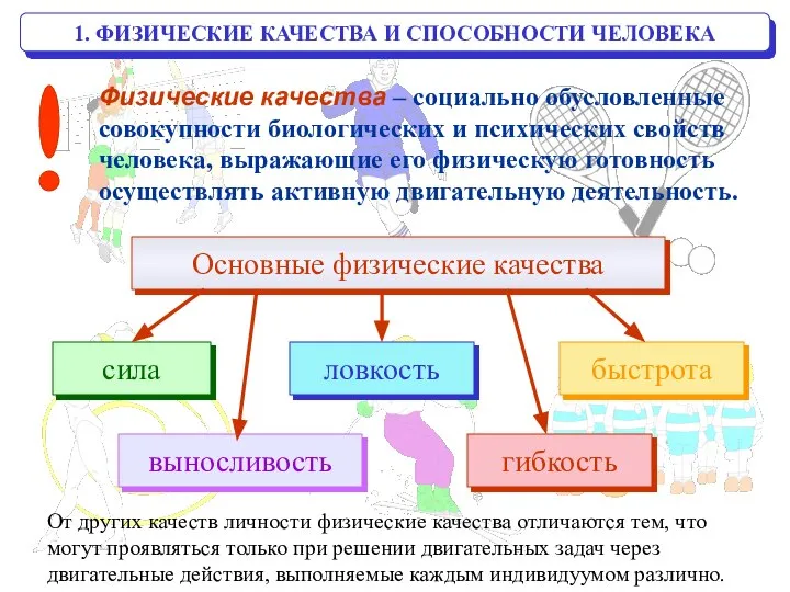 1. ФИЗИЧЕСКИЕ КАЧЕСТВА И СПОСОБНОСТИ ЧЕЛОВЕКА Физические качества – социально обусловленные совокупности