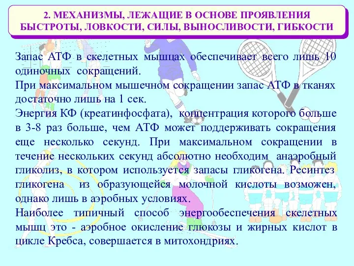 2. МЕХАНИЗМЫ, ЛЕЖАЩИЕ В ОСНОВЕ ПРОЯВЛЕНИЯ БЫСТРОТЫ, ЛОВКОСТИ, СИЛЫ, ВЫНОСЛИВОСТИ, ГИБКОСТИ Запас