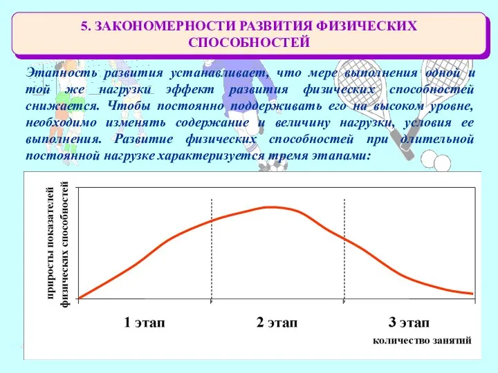 5. ЗАКОНОМЕРНОСТИ РАЗВИТИЯ ФИЗИЧЕСКИХ СПОСОБНОСТЕЙ Этапность развития устанавливает, что мере выполнения одной