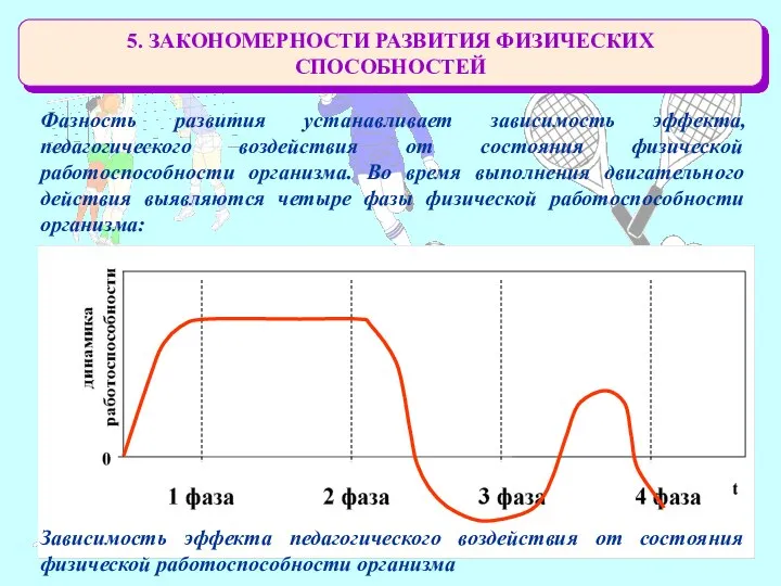 5. ЗАКОНОМЕРНОСТИ РАЗВИТИЯ ФИЗИЧЕСКИХ СПОСОБНОСТЕЙ Фазность развития устанавливает зависимость эффекта, педагогического воздействия