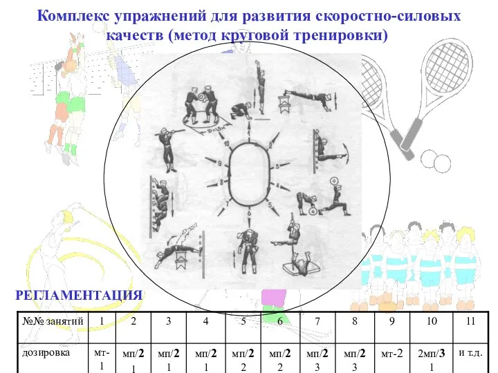 Комплекс упражнений для развития скоростно-силовых качеств (метод круговой тренировки) РЕГЛАМЕНТАЦИЯ