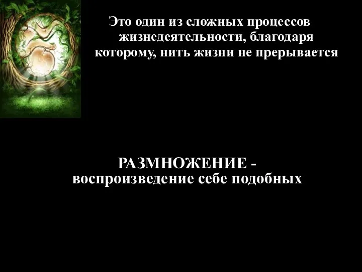 Это один из сложных процессов жизнедеятельности, благодаря которому, нить жизни не прерывается