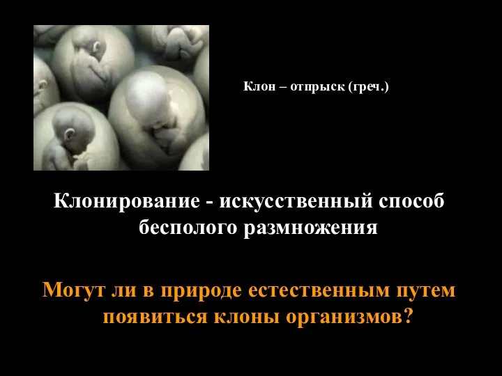 Клонирование - искусственный способ бесполого размножения Могут ли в природе естественным путем