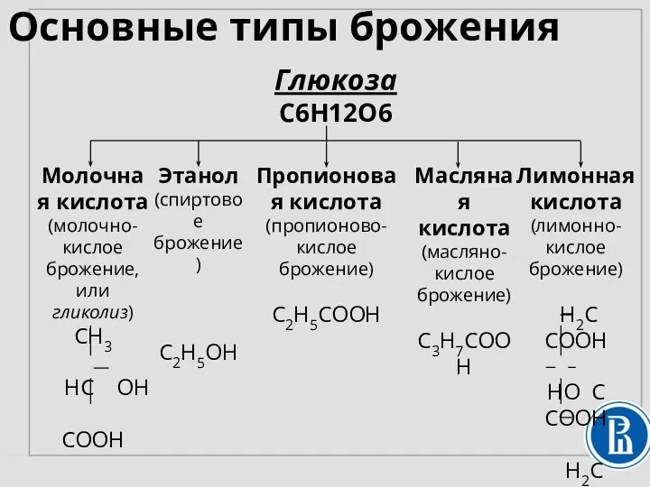 Основные типы брожения Глюкоза C6H12O6 Молочная кислота (молочно-кислое брожение, или гликолиз) CH3