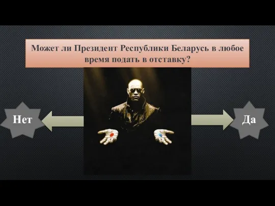 Может ли Президент Республики Беларусь в любое время подать в отставку? Да Нет