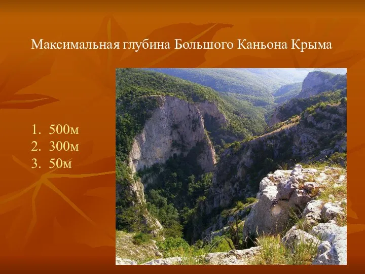 Максимальная глубина Большого Каньона Крыма 1. 500м 2. 300м 3. 50м