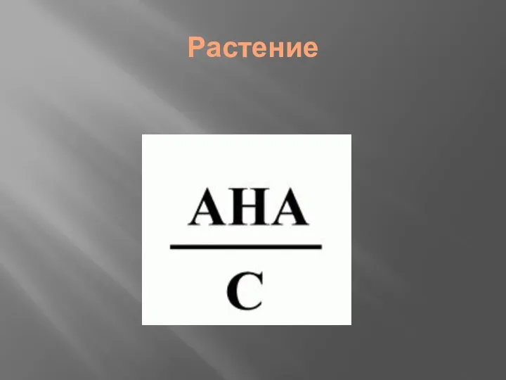 Растение