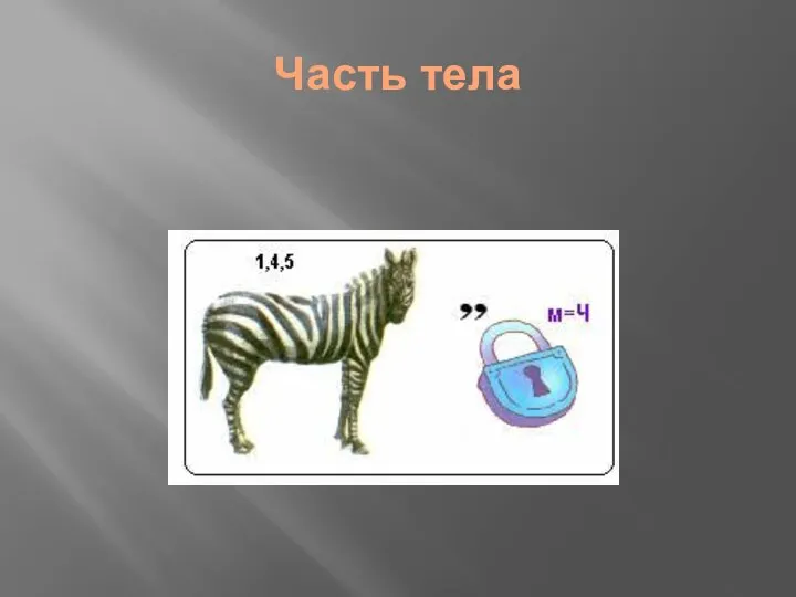 Часть тела